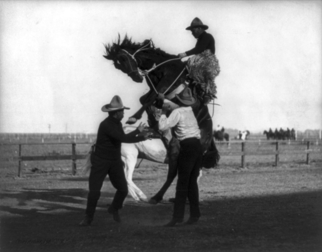 A cowboy riding a bucking bronco at Cheyenne Frontier Days, Wyoming, 1910