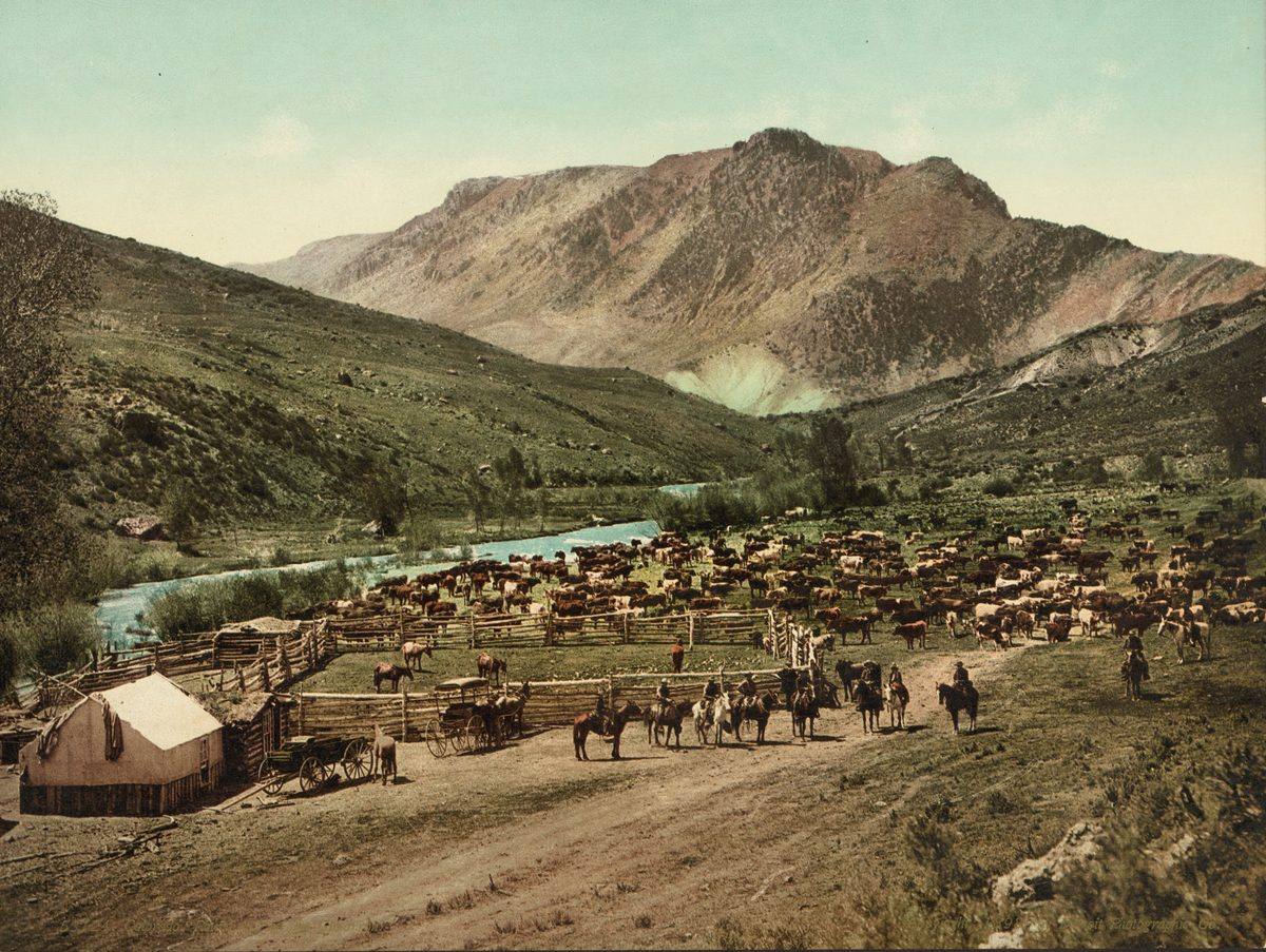 Colorado cattle roundup on the Cimarron, with mounted cowboys, corrals, and a chuckwagon camp, 1898