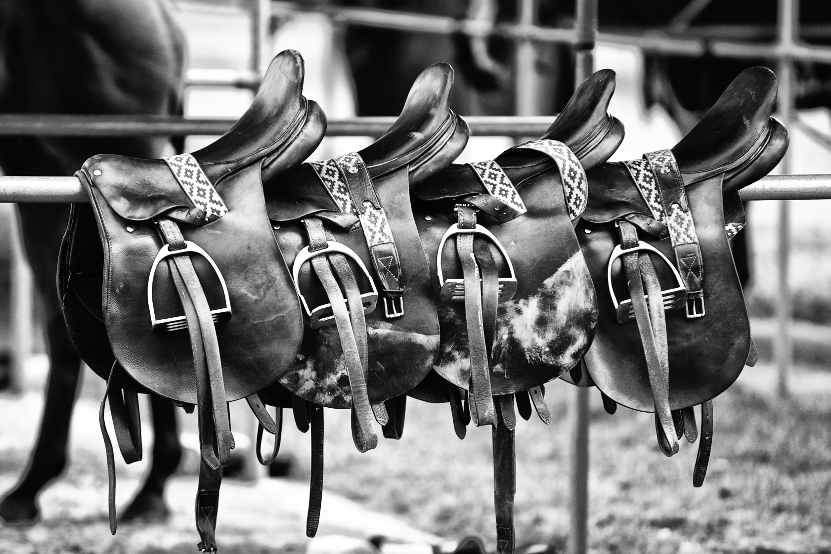 Polo saddle — flat open seat, no knee rolls, minimal pommel