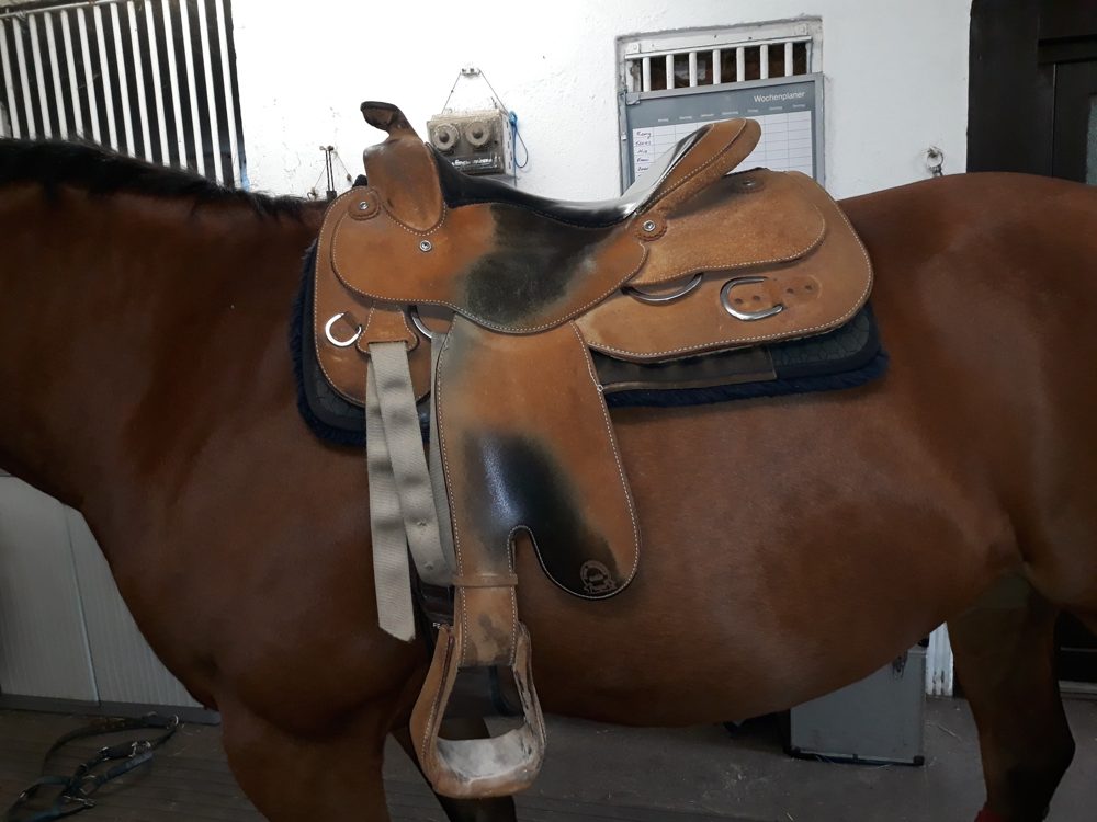 Western trail / pleasure saddle — plain, comfort-focused, moderate depth